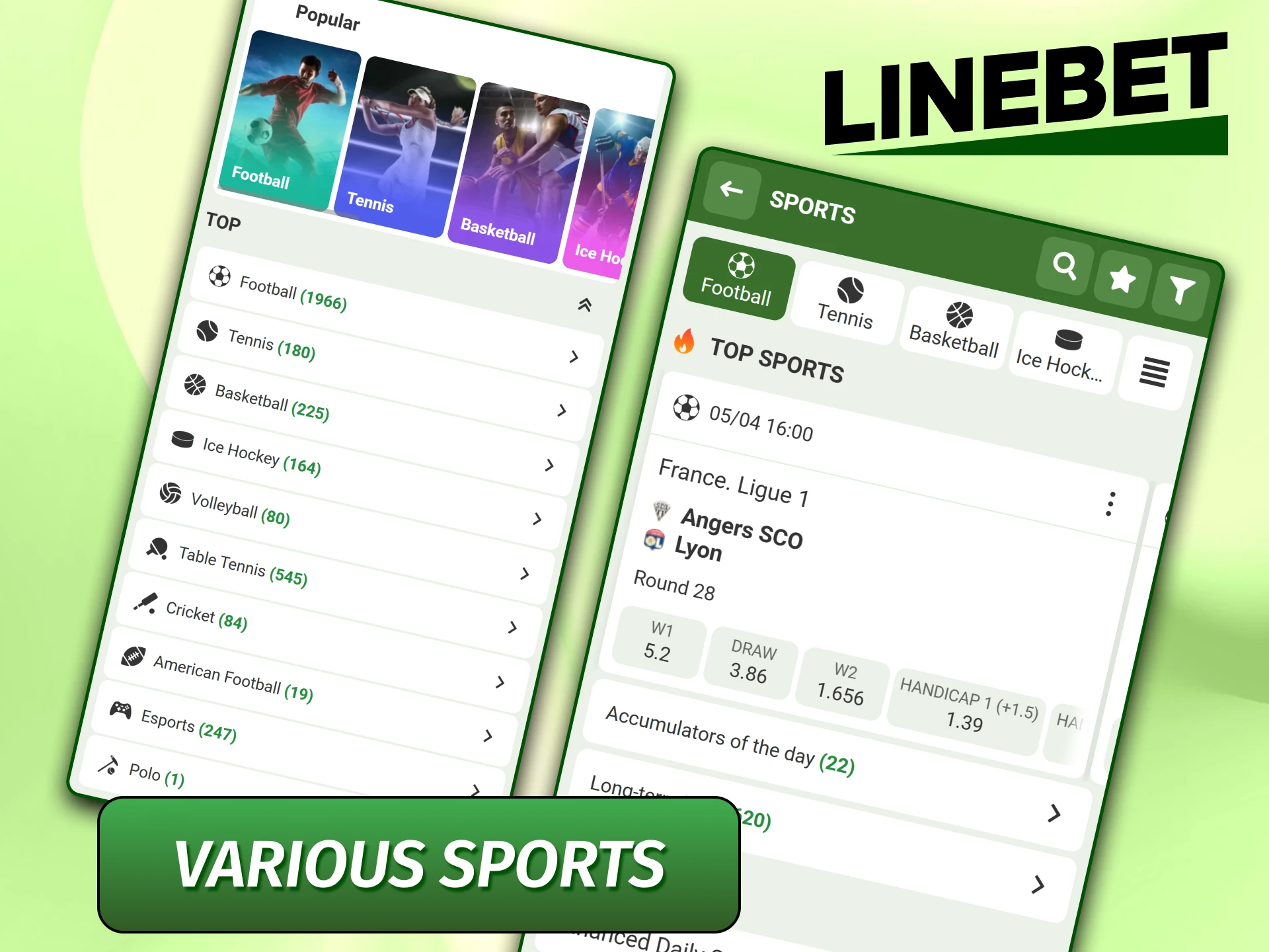 Sportsbook menu in the Linebet app featuring various athletic disciplines for wagering.